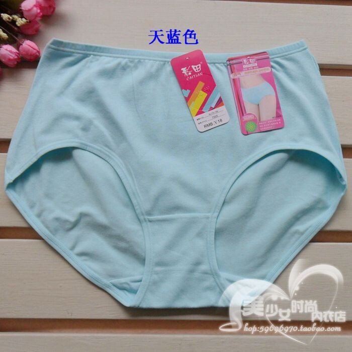 Slip en coton - Ref 642992 Image 15