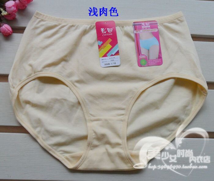 Slip en coton - Ref 642992 Image 11