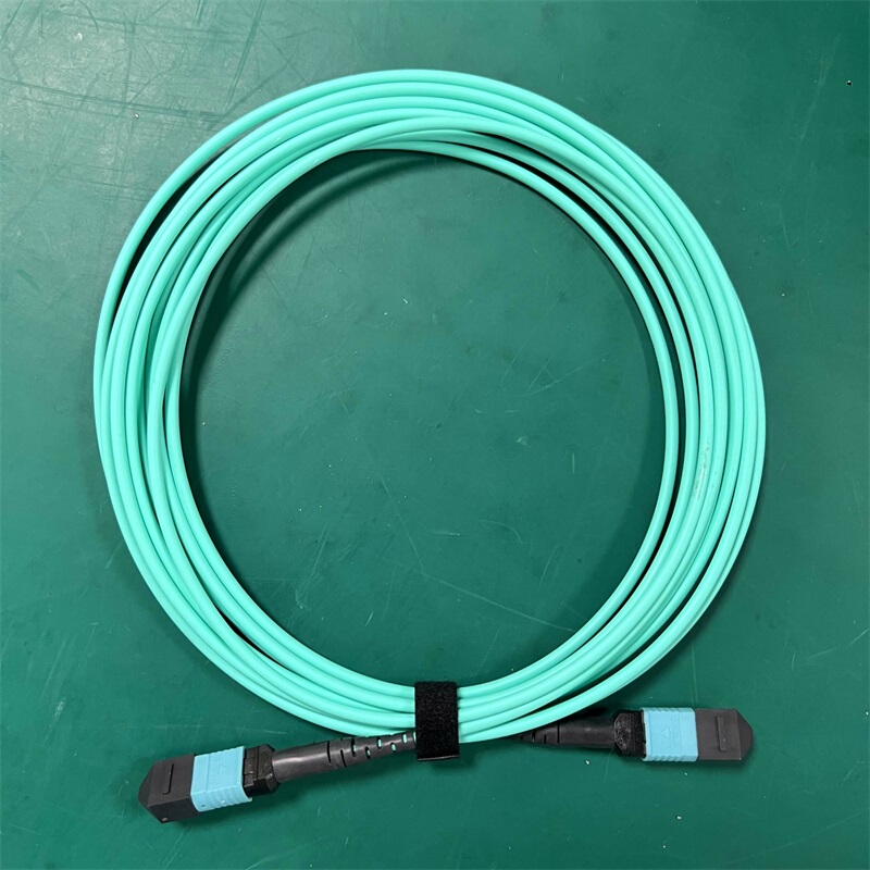 Rat-Proof and Tensile-Resistant Armored Fiber Optic Patch Cord Mpo-Mpo Multi-Mode 8-Core Om3 Bundled Optical Cable 40g Optical Fiber Tail Cable Rat-Proof and Tensile-Resistant Armored Fiber Optic Patch Cord Mpo-Mpo Multi-Mode 8-Core Om3 Bundled Optical Cable 40g Optical Fiber Tail Cable