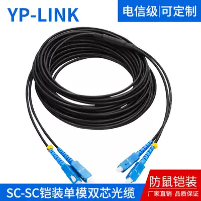 Outdoor anti-rat bite armored fiber optic SC-SC FC LC single-mode steel wire armored tail cable jumper extension cable
