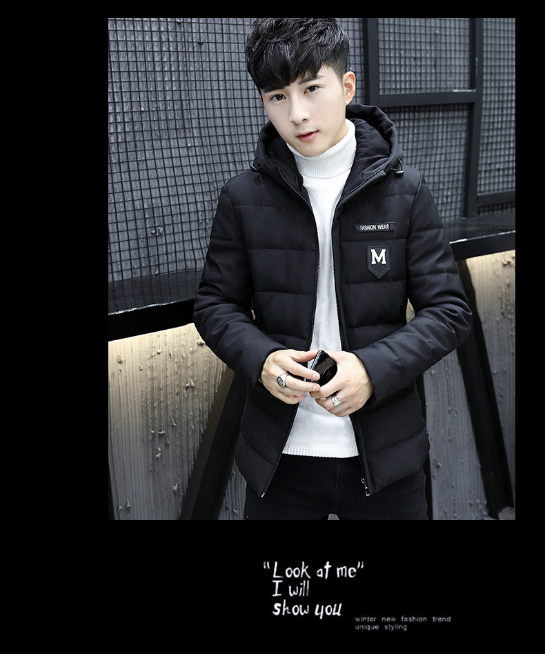 Blouson chaud pour homme en Polyester - Ref 3113117 Image 39