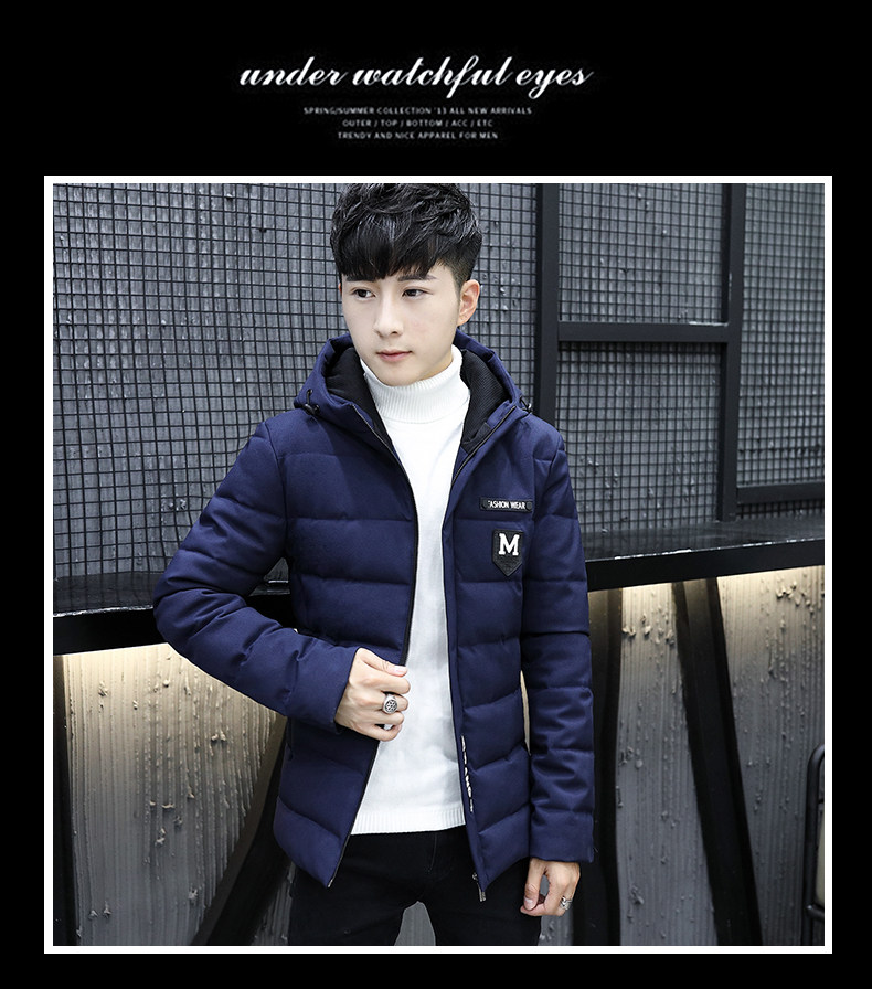 Blouson chaud pour homme en Polyester - Ref 3113117 Image 26