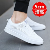CK004 Silver (повышенная площадка)