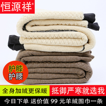 Hengyuan Xiang 2020 Winter Anti-chill Thickening Plus Suede Wool Trousers Male Mid-Age High Waist Camel Suede Warm Pants Female Kneecap