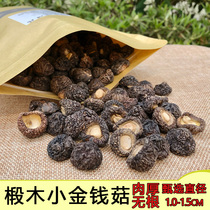 Jinggangshan Golden Mushroom small mushroom dried 500g farmhouse Pearl mushroom Mini Mushroom dry goods