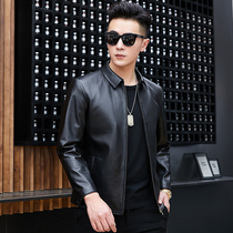 Yashiluo Haining leather leather jacket mens cowhide jacket lapel short mens middle-aged mens single leather new
