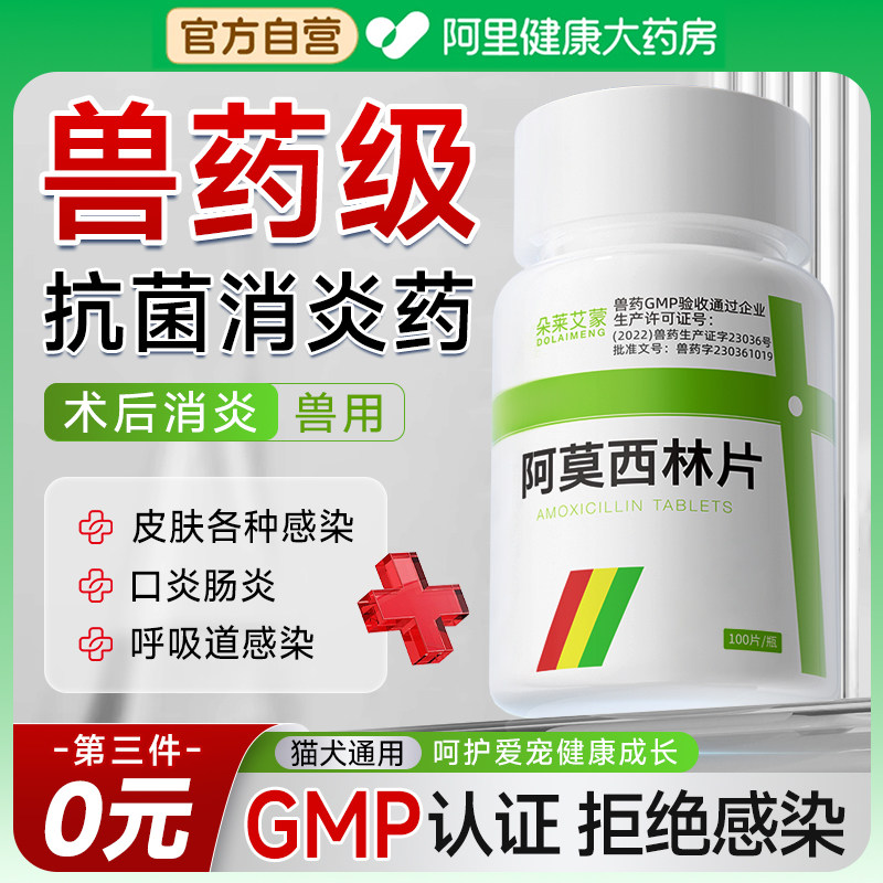 宠物咳嗽,2026年新疗法如何应对?