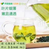 Gynostem Blue Tea Office Flagship Mase Authentic Suiting Qiye Gynostem Blue Tea.