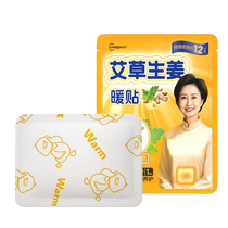 Chaoya Mugwort and Ginger Warming Patch 1 patch bag