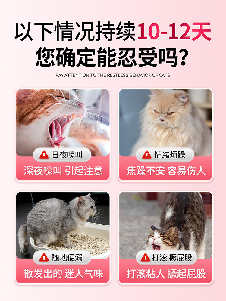 猫咪发情怎么办？公母猫都需要抑制吗？2026新型宠物抑情片全解析