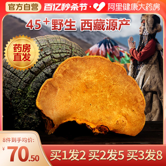 Nanjing Tongrentang 45-year-old genuine wild authentic Tibetan Linzhi Bomi mulberry tree mulberry yellow Ganoderma lucidum genuine 500g