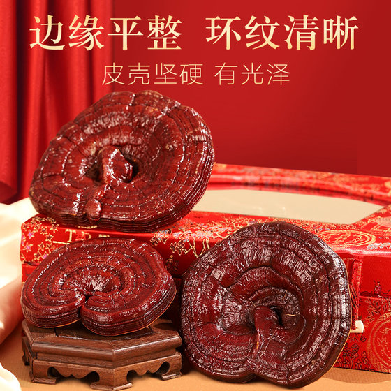 Beijing Tong Ren Tang genuine Ganoderma lucidum can be sliced ​​dry goods non-wild soaked in water 300g gift box