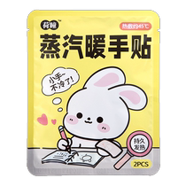 Hetong Steam Hand Warming Patch 2 pieces bag (1 pair)