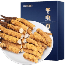 Caterpillar Fungus Official Flagship Store Non Wild Break Winter Worm Grass Year Goods Gift Box Qinghai Non Tibetan Nale