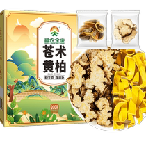 Phellodendron Atractylodes tea bag Chinese medicinal materials Ermiao powder stir-fried Atractylodes Gentian grass non-wild soaked in water.
