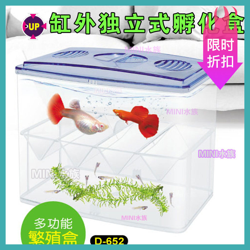 Yabedapu independent self-floating seamless peacock small fish hatch breeding isolation box Mini tank