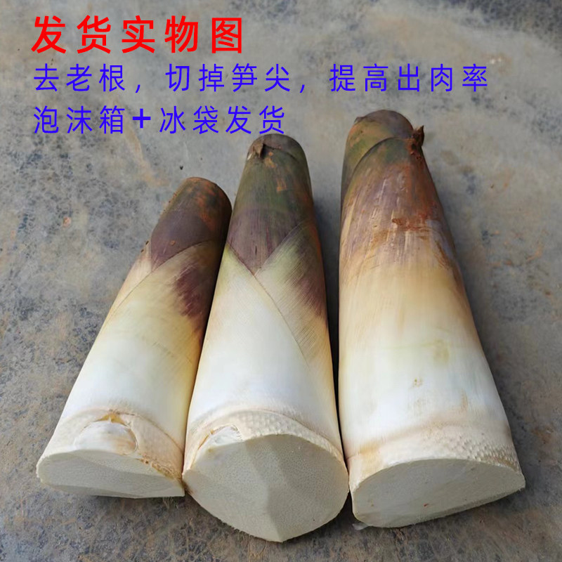 新鲜麻竹笋与苦笋深度测评|广东揭阳农家现挖,广西酸笋原料溯源,鲜笋怎么挑?-旅游-淘宝好物网