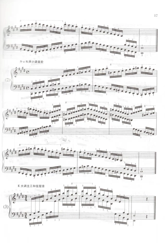 Учебное пособие по экзамену по фортепиано (любитель) 5 Уровень 8 Центральная музыкальная консерватория Серия экзаменов по уровню музыки за пределами кампуса (внутреннее издание) 5 Уровень 8 Издательство People's Music Партитура для фортепиано Начальный базовый учебник