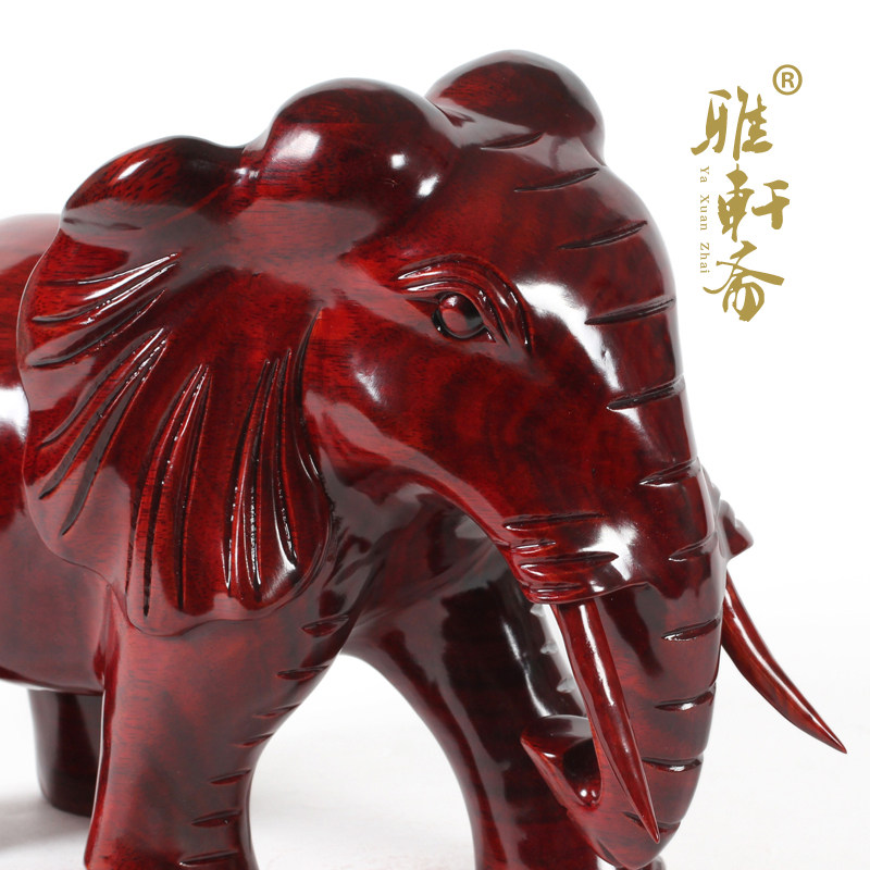 ����ի ��ľ����