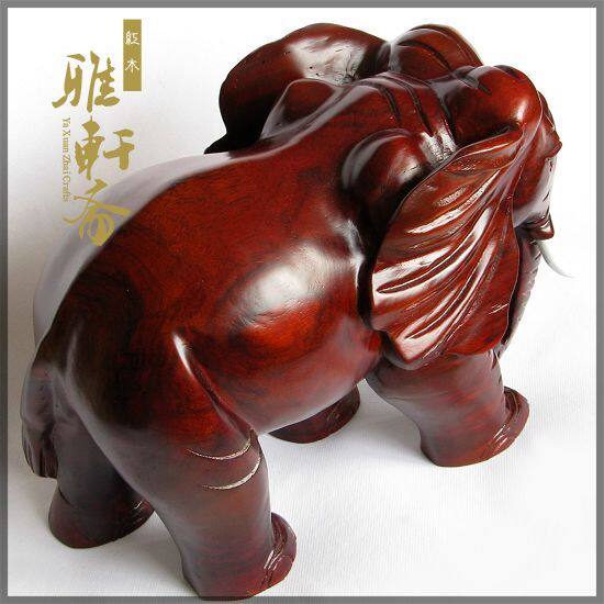 ����ի��ľ����ڼ�