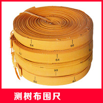 Ha light cloth measuring tree measuring 2 meters measuring tree measuring 2 meters measuring tree measuring 2 meters tree measuring 2 meters