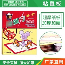 10 Hawk Ultra - strong mouse plate to destroy rat rat - rat - rat - rat - driven mouse factory factory household direct sales indoor