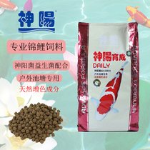 Shenyang bred into germ silk health color Yang Shenyang bright red super-energy Shenyang body koi feed koi fish food fish food