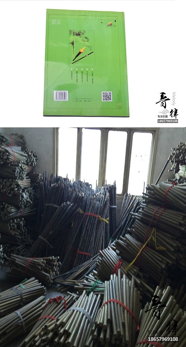 葫芦 丝巴乌 实用 教程 Li Chunhua cho người mới bắt đầu sách giáo khoa giới thiệu - Nhạc cụ dân tộc đàn tì bà