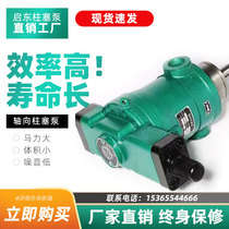 Qidong High Pressure Oil Pump 10 25 40 63 80 160YCY 250YCY14-1B Axial Piston Pump Hydraulic