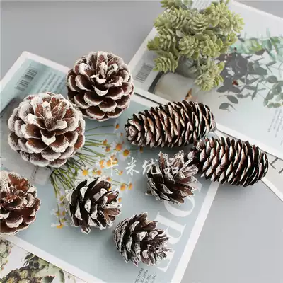 Hand-painted white fishing white color pinecone wild fruit fish head pinecone beauty Pinecone Christmas gift photo props