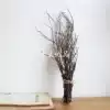 (Cami Youpin)Exclusive homemade red birch long branches a bundle of country quaint natural photo props display
