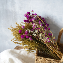 (Kami Youpin) Original Yunnan thousand Red cockscomb flower whole wall hanging floral homemade flower shelf