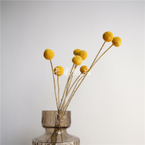 (Golden Ball) natural dried flower bouquet literary hipster home flower arrangement decoration ornaments golden cone flower Golden Ball