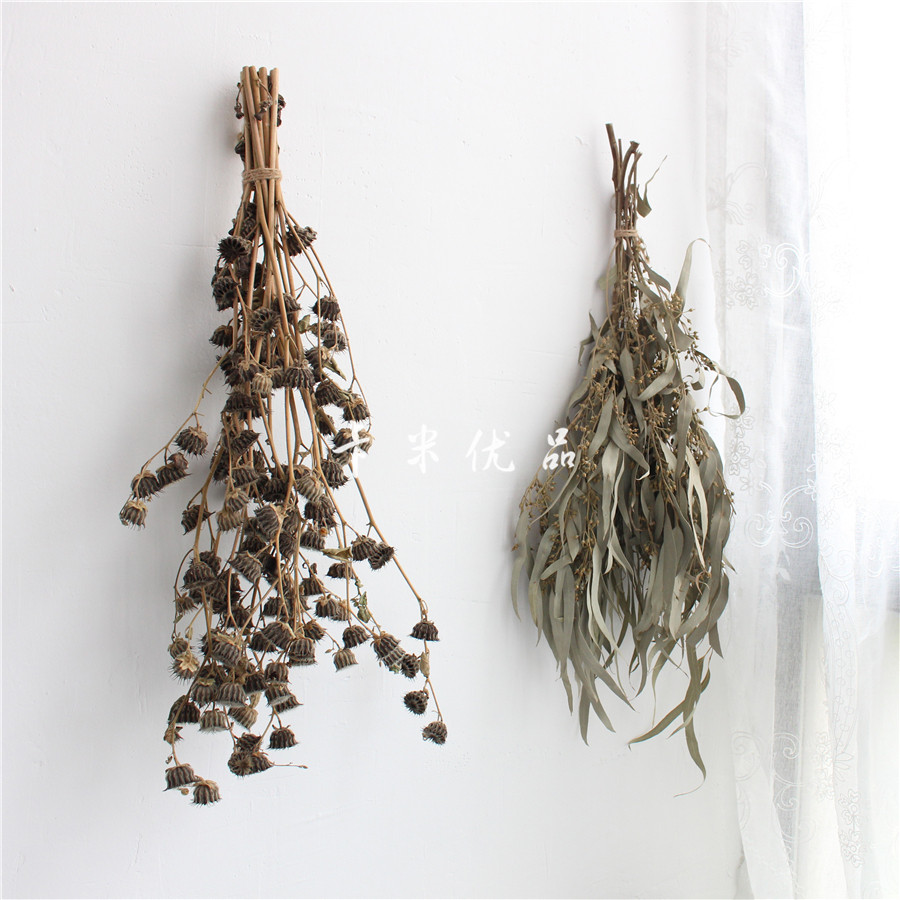 (Dried Flower) eucalyptus leaves Eugalie leaf Foliage Foliage Ingredients Literary and Dry Dried Flowers Photo Props