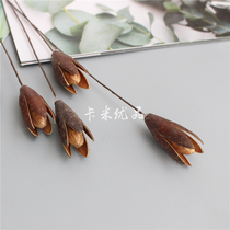 (Magnolia) Single branch of Magnolia fruit natural dried fruit flower natural color decorative flower Yongshenghua Iron Flower Branch