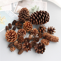 Pine Cone Decoration Wild Natural Dried Fruit Christmas Pine Cone Big Set Pine Cone Complete Photo Props