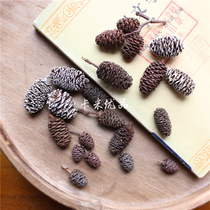 Natural fruit groceries ornaments retro dried flower fruit water Poplar photo props model between pine cones