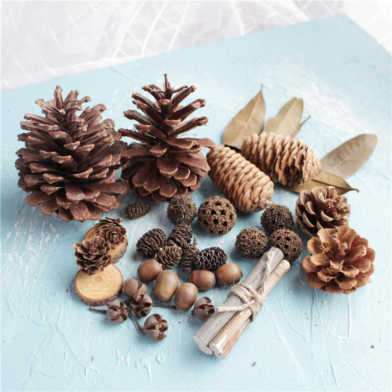 Pinecone decoration zakka super many wild dried fruits Pinecone branches bean horn oak fruit tree leaves handmade oversized set