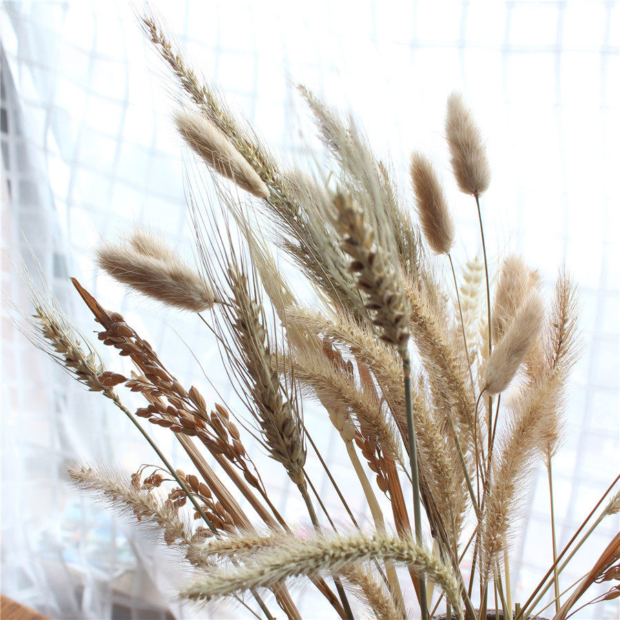 Wheat, rice, rabbit tail grass, dried flowers, stage props, rice, dog tail grass, dried flowers, hay, wheat, decorative plant bouquet