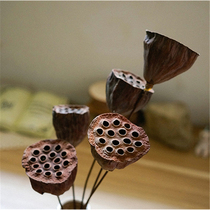Shooting props air-dried flower with seed Lotus head lotus flower decoration dried flower dried fruit shower head decoration small