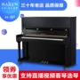 Dòng Pu Jinqin Helen HAILUN gỗ rắn chuyên nghiệp đàn piano thẳng đứng thương hiệu mới dành cho người lớn chơi đàn piano chuyên nghiệp H-5P yamaha c3