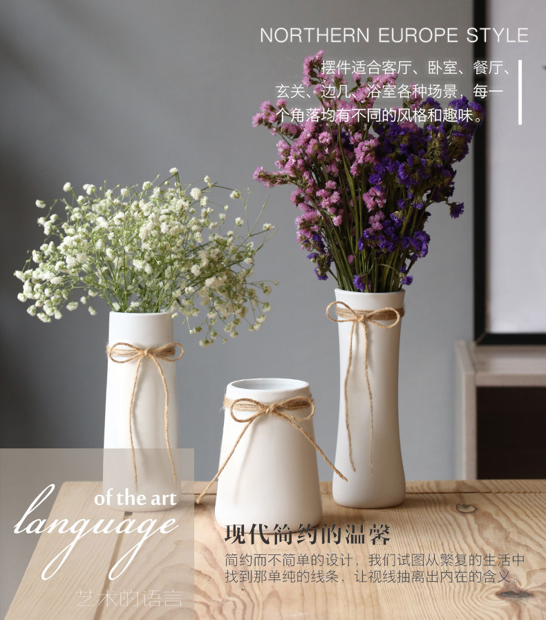 Ceramic dry flower vase contracted white rope is I and contracted home furnishing articles hydroponic flower ornament