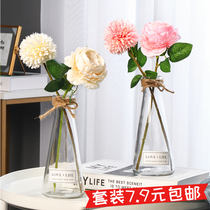 Nordic hipster glass vase transparent hydroponic vase flowers dried flower Flower insert vase ins living room Vase ornaments