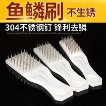 Manual fish scraper with white plastic handle 304 stainless steel nail brush to remove fish scales and plan fish killing tools household fish scaler