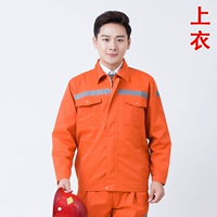 【Модель санитарии】 серая полоса