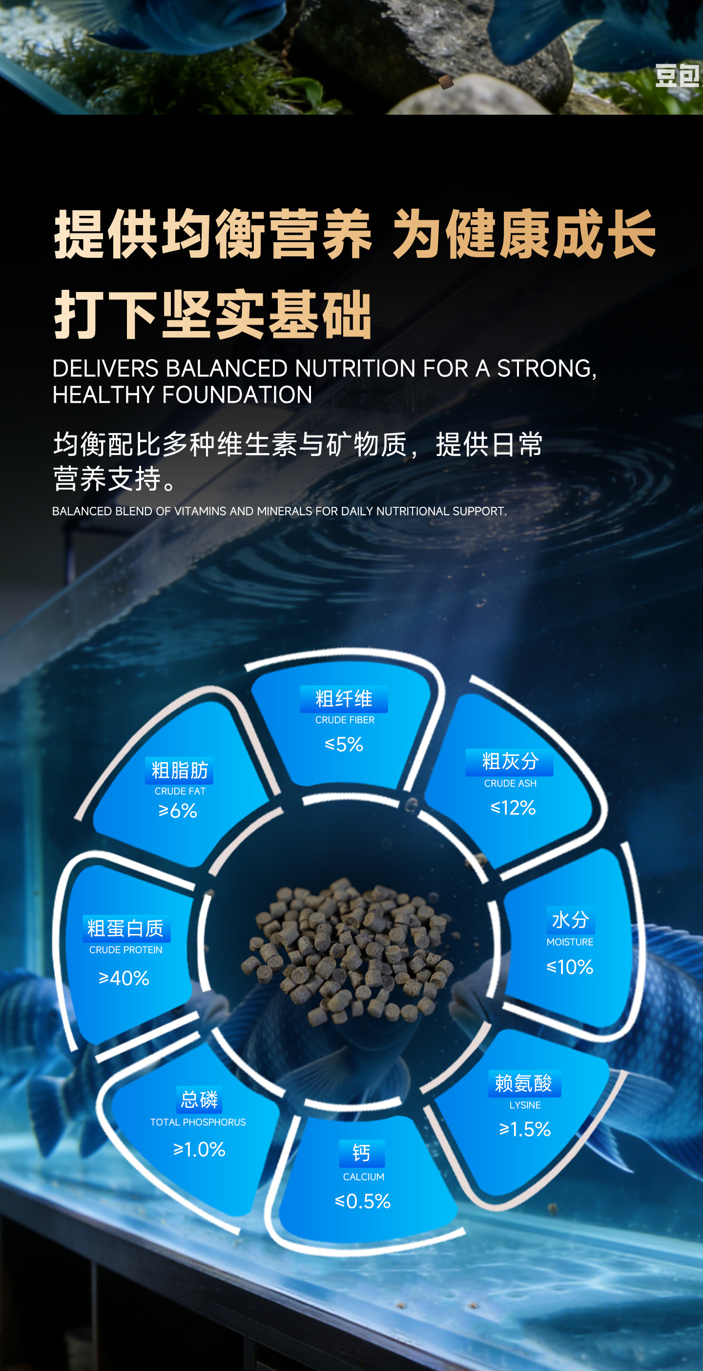 马印饲料萨伊蓝专用增色增蓝饲料颗粒观赏鱼饲料营养饲料助显真蓝 detail 9
