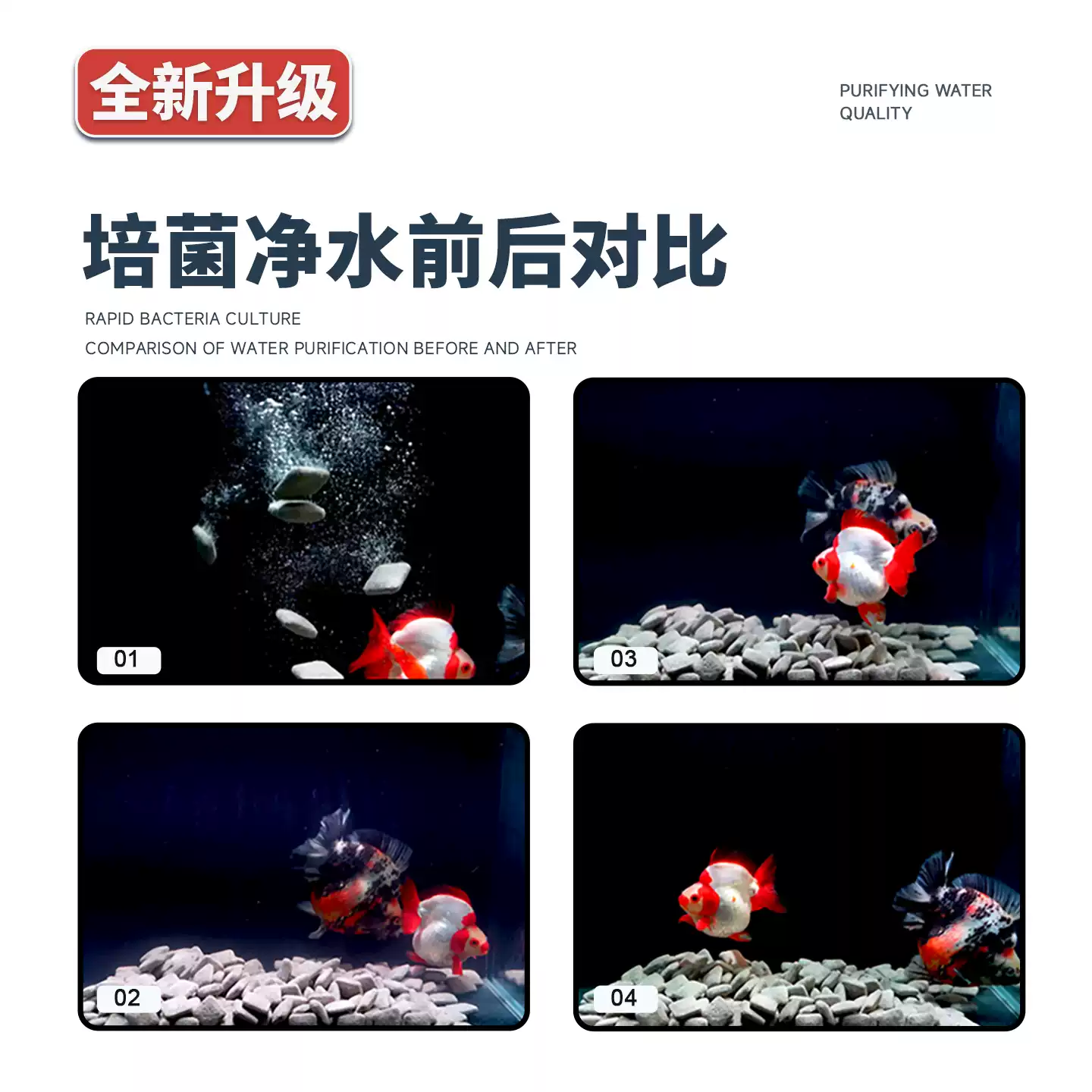 马印过滤材料鱼缸净水培菌过滤石小陨石细菌屋鱼缸空气缸专用滤材 detail 3
