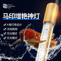 Mayin god lamp Arowana lamp Special fish tank lamp brightening led lamp lighting diving lamp Waterproof dual-mode aquatic plant lamp