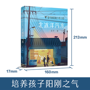 北冰洋汽水 翌平 著 儿童文学 少儿 北京日报出版社