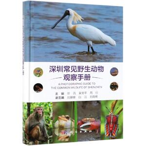 深圳常见野生动物观察手册 徐讯，黄宝平，周行 著 生物科学 专业科技 科学出版社 9787030606952
